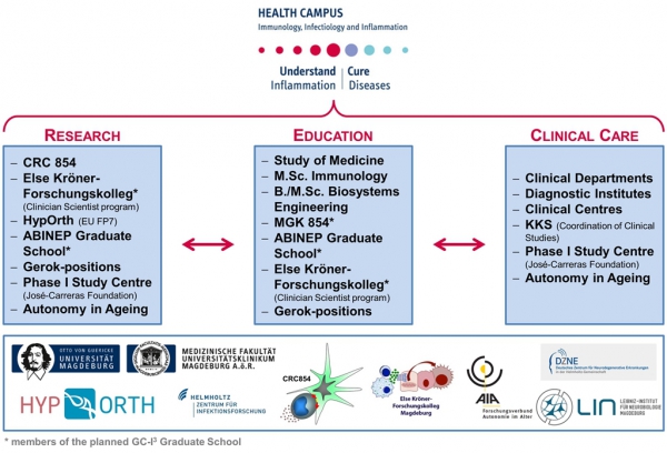 Struktur des GC-I³_EN Struktur des GC-I³_EN